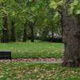 London is a fantastic city for walks and free art, and this short walk from Green Park tube station to Hyde Park and back takes in two galleries, a lake, […]