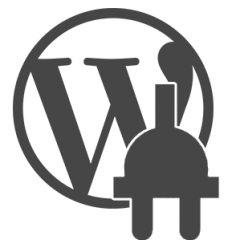 ¿Cómo elijo el mejor plugin WordPress para cada necesidad?