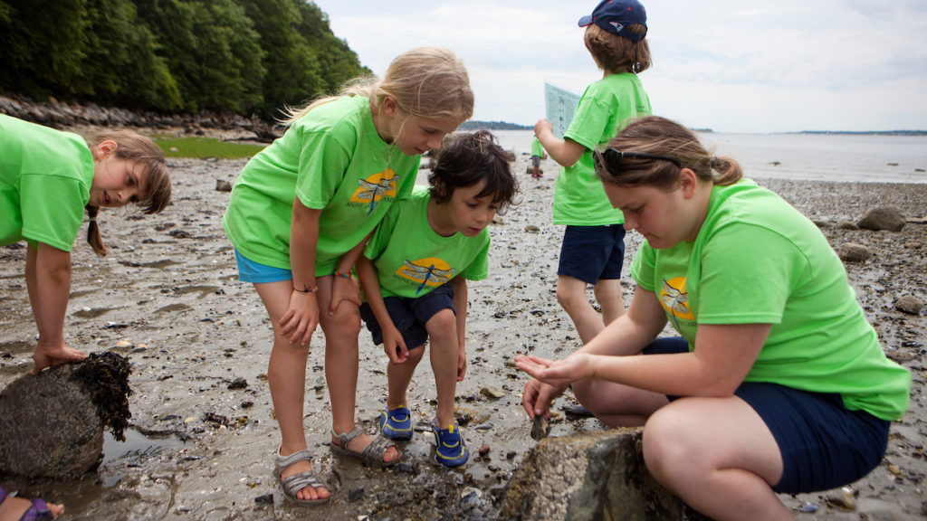 Exploring Mackworth Island with summer camp campers