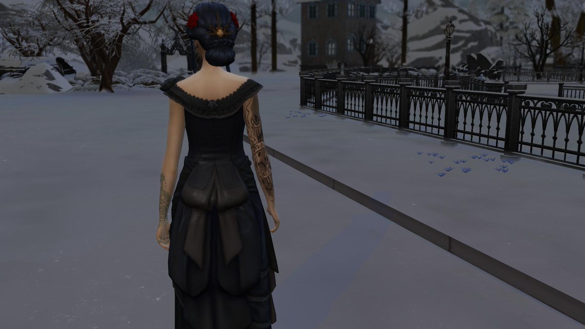 Viola is wearing a black dress with lace. She is looking at the surrounding area which has a black iron fence. Her black hair is tied up in a Victorian style bun in her neck, decorated with two red roses.