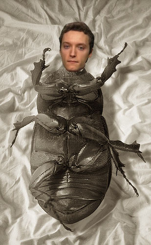 gregor samsa copy