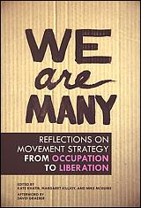 We Are Many: Reflections on Movement Strategy from Occupation to Liberation