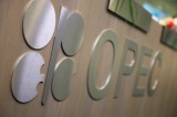 OPEC members face the prospect that some of their reserves may be worth nothing at all.