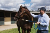 Trainer Gary Portelli and his colt Time To Reign at his stables in Warwick Farm ahead of the Golden Slipper.