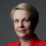 Portrait of Deputy Opposition Leader Tanya Plibersek in the press gallery at Parliament House in Canberra on  Wednesday 20 Febrruary 2019. fedpol Photo: Alex Ellinghausen