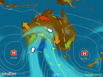 synoptic