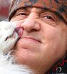 Man's best friend: The Sopranos star Steven Van Zandt cradled his beloved dog Edie while walking around Manhattan's West Village on Wednesday