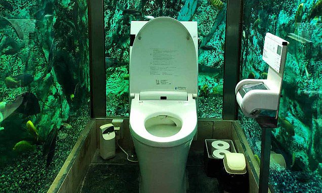 Japan's Hipopo Papa Cafe spends over £200k installing a toilet that's surrounded by a huge