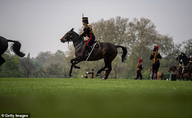 71 horses pulled six First World War-era 13 pounder field guns across Hyde Park before the rounds were fired