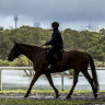 Centennial Park lies within Randwick Council area, though it's used by people from all over Sydney.