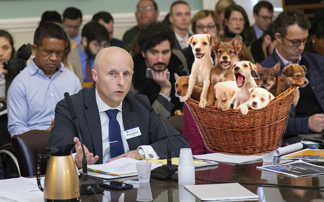 The MTA Wants You To Carry Your Dog In A Basket On The Subway