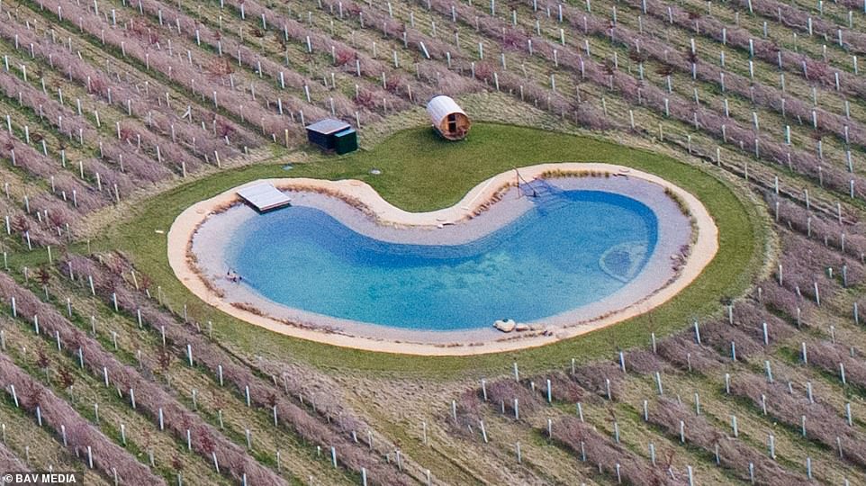 The 28-year-old pop star removed the sauna (white wooden structure pictured top centre) from the £1.5million mansion