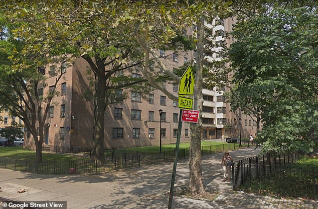 The violence is said to have unfolded in Valle's apartment in East Williamsburg (pictured)