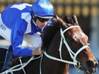 Cash spike that created the Winx legend