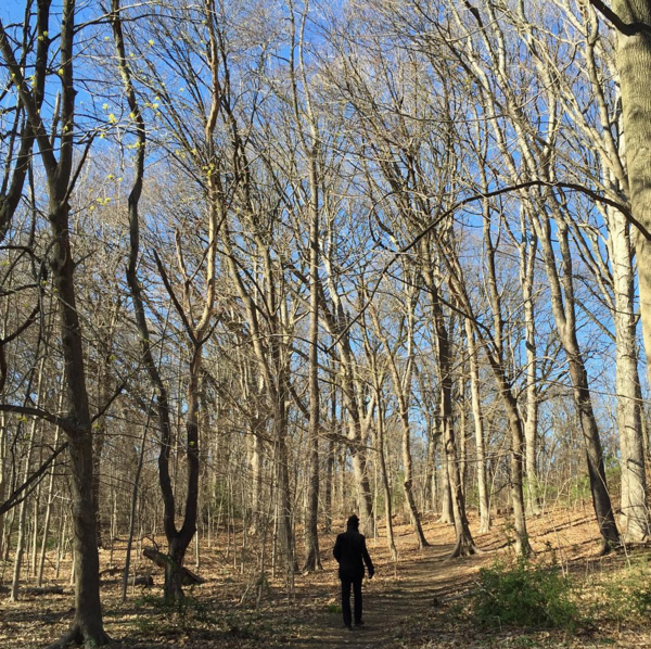 Forest Park, Early April