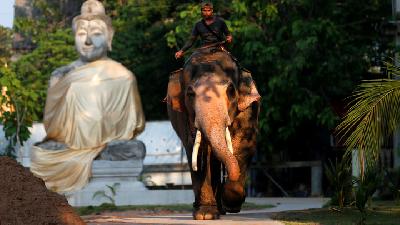 Thailand Unveils 