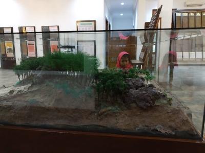 Kunjungan Tak Terduga di Museum Tanah di Bogor