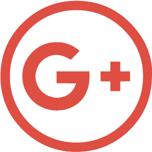 Google Icon