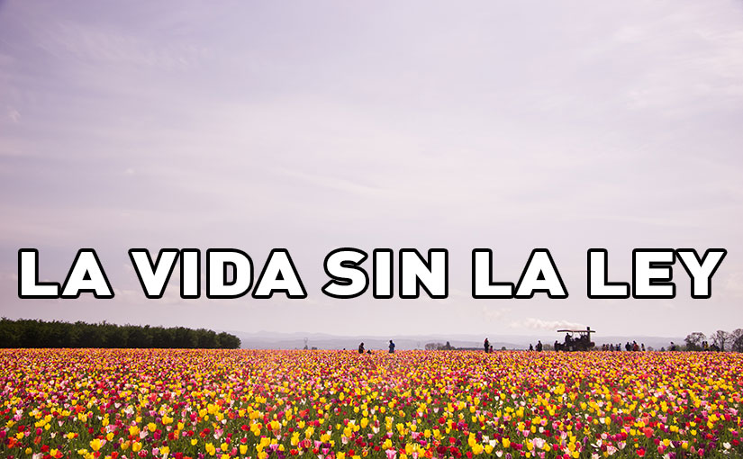 La Vida Sin La Ley