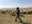 Ahmed tends to his sheep in the scenic Jordan valley.