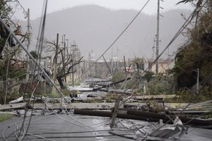 lectricity poles and lines lay toppled on the road after Hurricane Maria hit the eastern region of the island, in Humacao, Puerto Rico, Wednesday, Sept. 20, 2017.