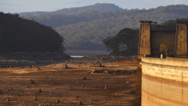 Sydney desalination plant restart ahead of schedule as dam levels slide