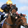 Ride on: Tommy Berry eases Wild Planet to a dominant win in the Scone Guineas.  
