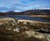 Landbrotalaug is an Icelandic gem of a hot spring.