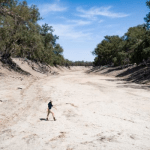 Kate McBride walking in the dry bed of the Darling River. Photo: Tony Hill