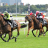 Old favourite: Rachel King will ride Live And Free in the Lord Mayors Cup at Rosehill on Saturday.