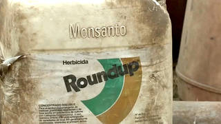 Seg2 monsanto 1