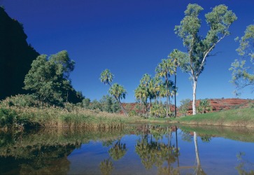 Finke Gorge National Park, NT: The landscape looks like it formed before life itself emerged, with sandstone plateaus, ...