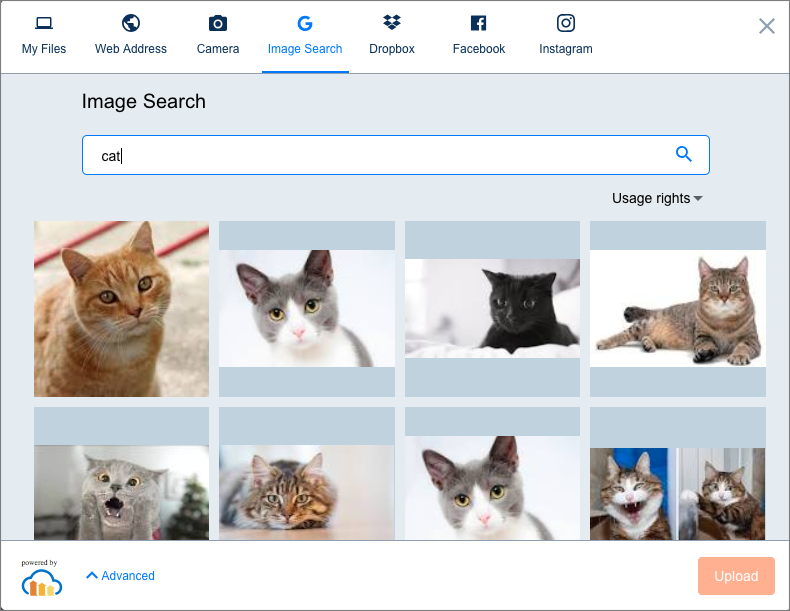 Image Search select