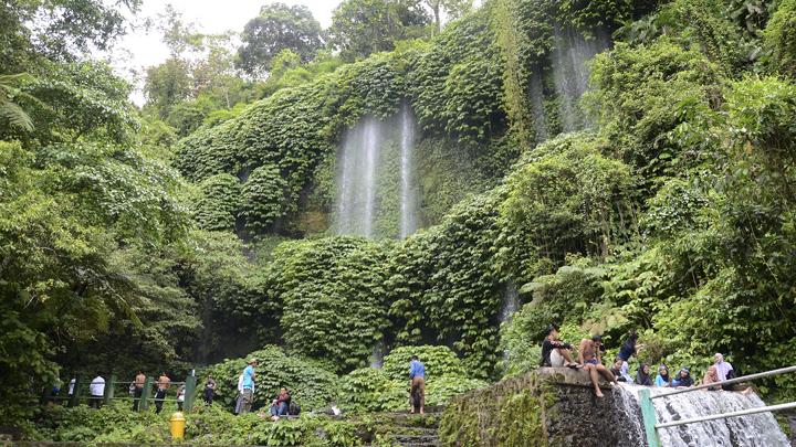 Restoring the Forest