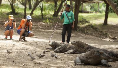 Komodo Island Off Limits for Tourism in 2020, Says Gov't