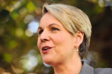 Tanya Plibersek says 