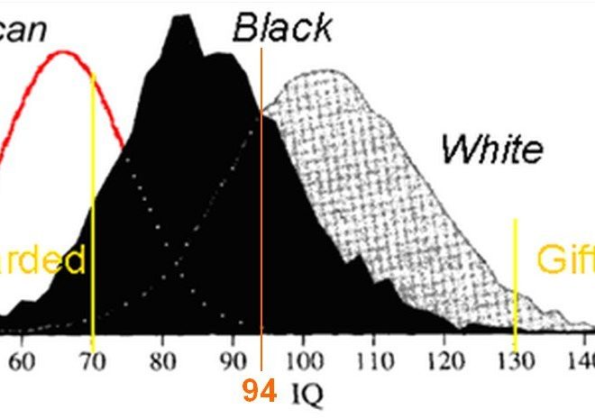 A retrospective on working on racial differences in intelligence by Richard Lynn.