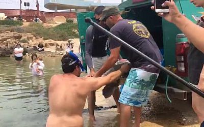 Members of Israel's Sea Turtle Rescue Center release an injured, pregnant turtle on May 26, 2019, after it was rescued on May 23, while in distress far from shore. (Channel 11 screen capture)