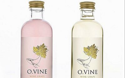 O.Vine , une eau vinifiée sans alcool et sans sucre, qui est produite à partir de marc et de graines de raisin par l'entreprise Wine Water et Practical Innovation. (Photo personnelle).