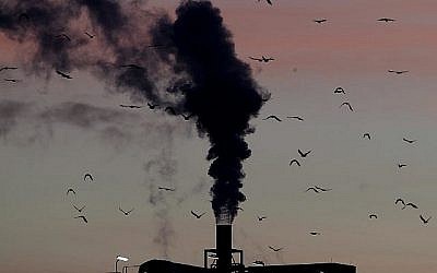 Des oiseaux devant une cheminée de fumée à Ludwigshafen, en Allemagne le 4 décembre 2018. (Crédit : AP /Michael Probst, File)