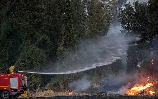 Des pompiers tentent d'éteindre un feu de forêt près du kibboutz Harel, le 23 mai 2019. (Crédit : Yonatan Sindel/Flash90)