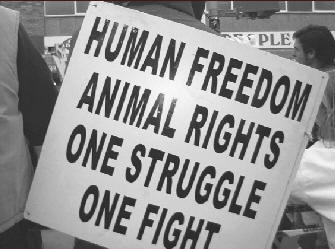 How Animal Liberation Will Benefit Human Rights