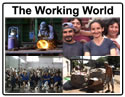 The Working World