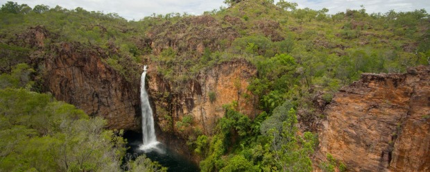 Northern territory darwin waterfall bush