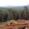 Queensland landholders warned of massive fines over 'exempt' land clearing