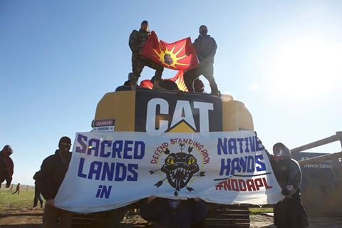 dakota-access-pipeline-warrior-flag-cat