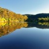 Wattle on the Upper Shoalhaven