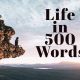 Life in 500 words