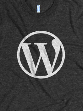 Accessori WordPress