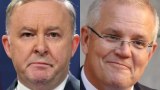 Composite photo of Anthony Albanese and Scott Morrison